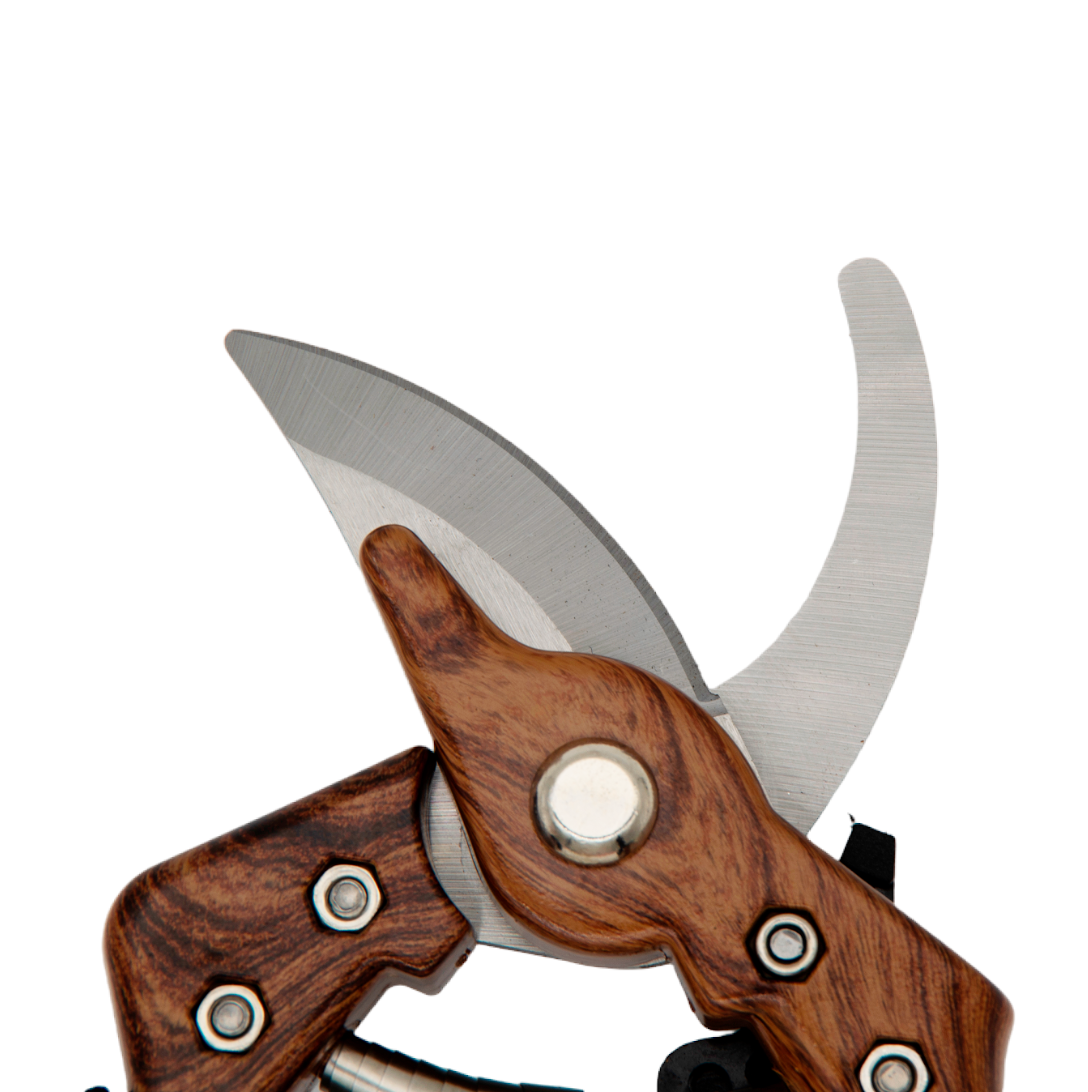 Professional Heavy-Duty Garden Shears