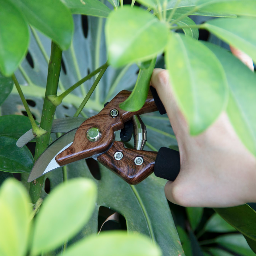 Professional Heavy-Duty Garden Shears