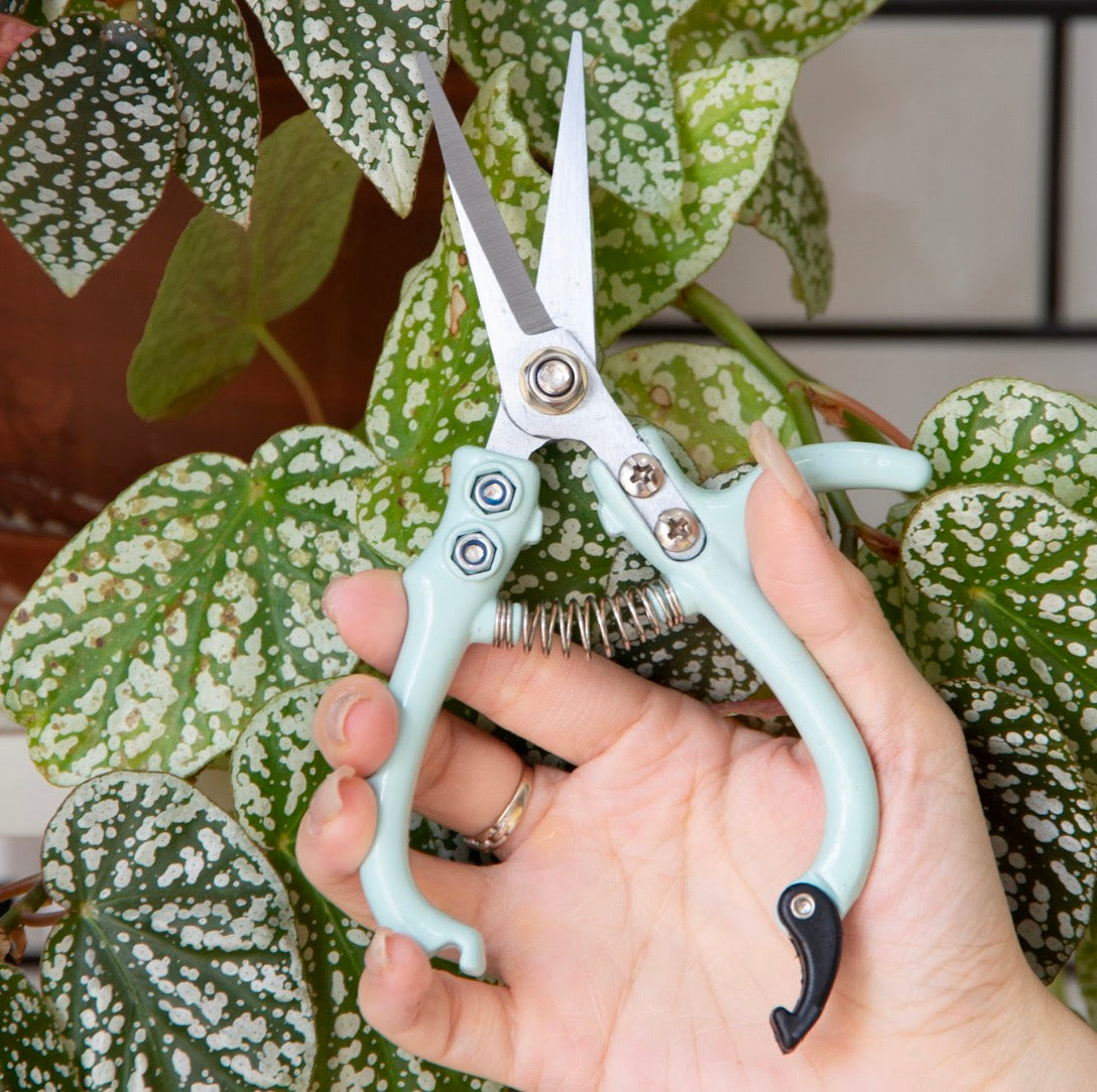 Garden Flower & Branch Pruning Scissors