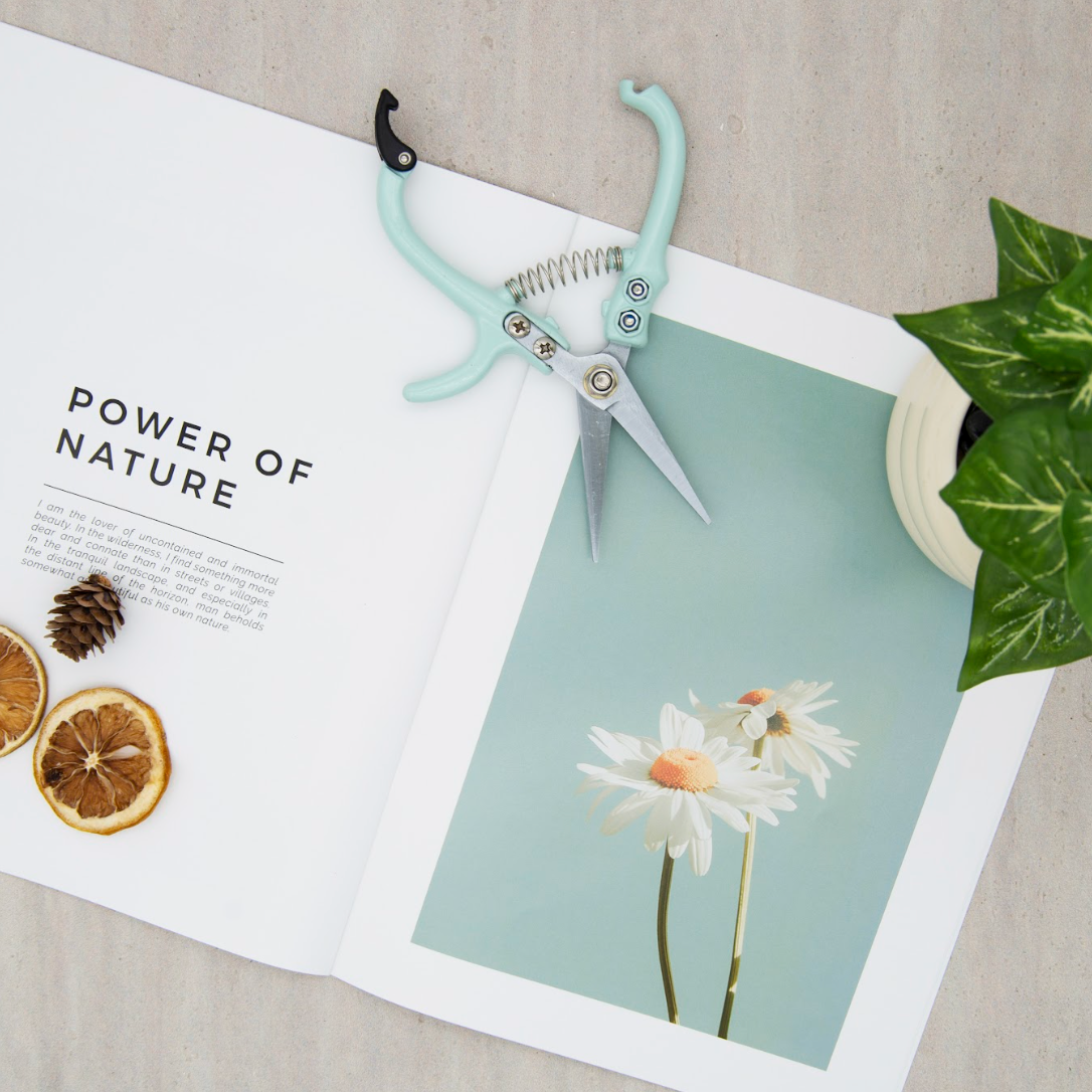 Garden Flower & Branch Pruning Scissors