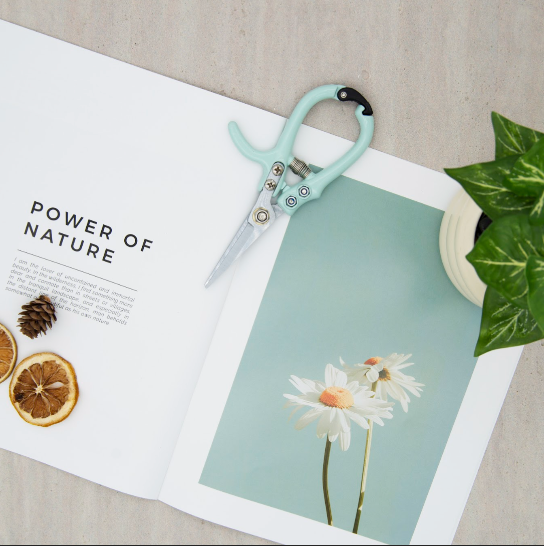 Garden Flower & Branch Pruning Scissors