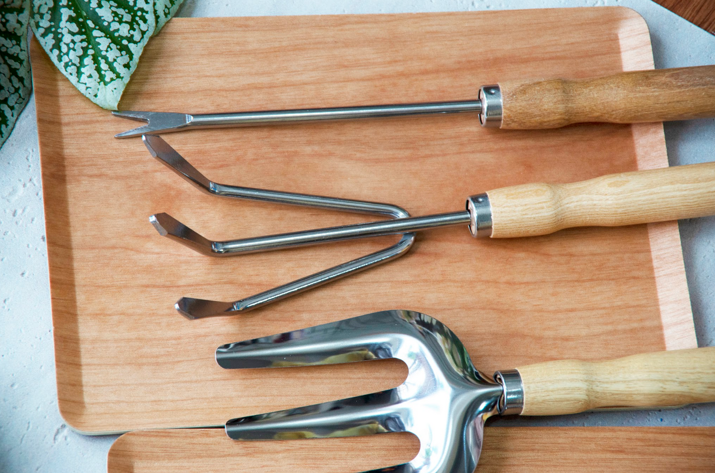 Garden Tool Set - Stainless Steel 5-Piece