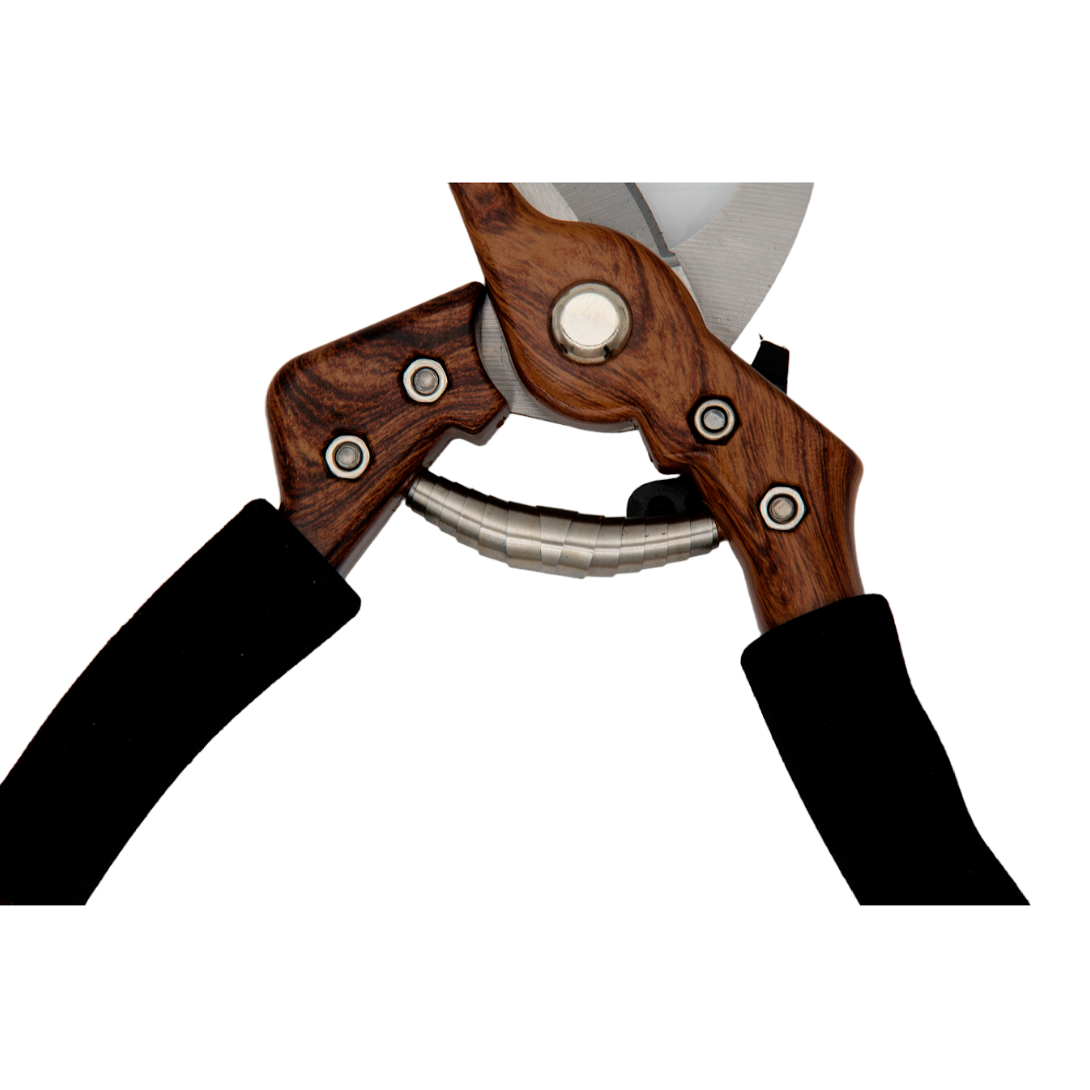 Professional Heavy-Duty Garden Shears