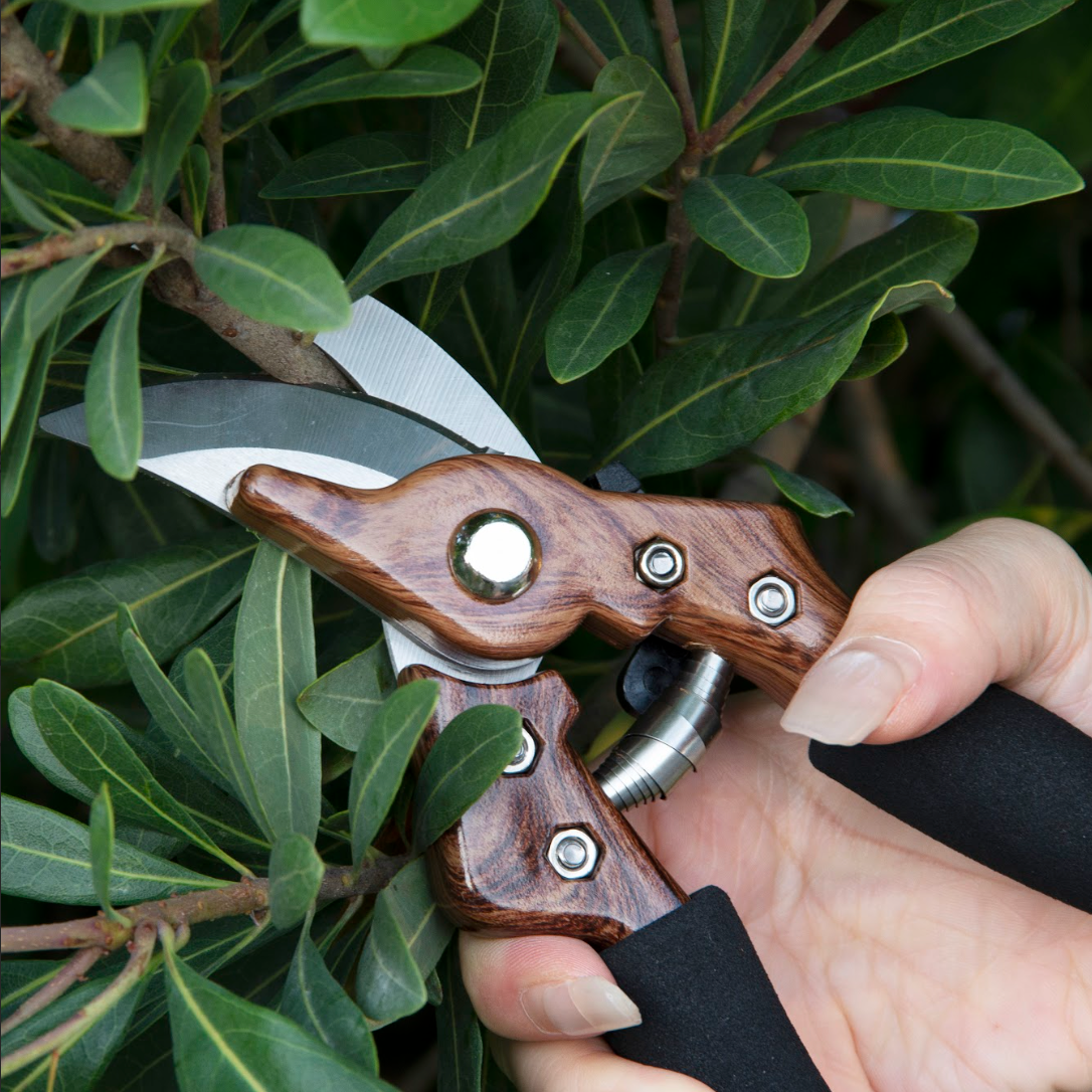 Professional Heavy-Duty Garden Shears