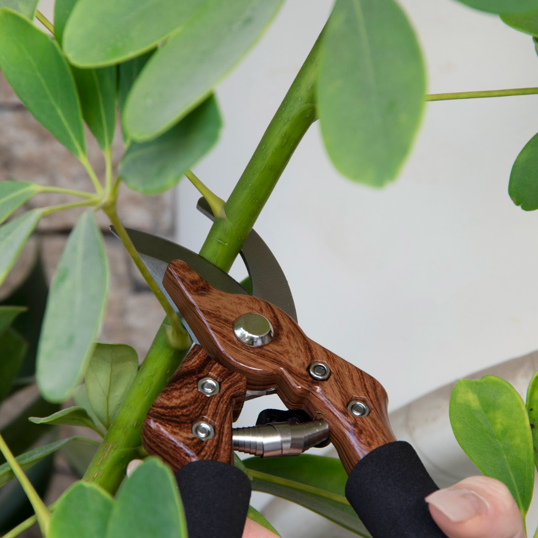 Professional Heavy-Duty Garden Shears